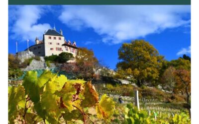 Conférence le 23/10/24 – La vigne du Château et ses cépages